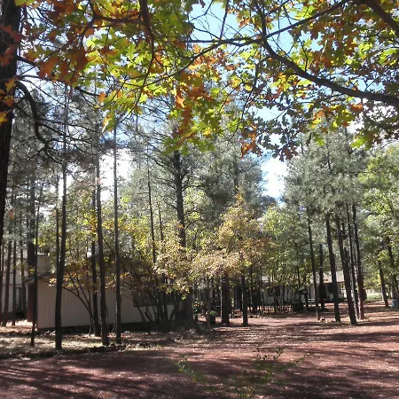 Buck Springs Resort