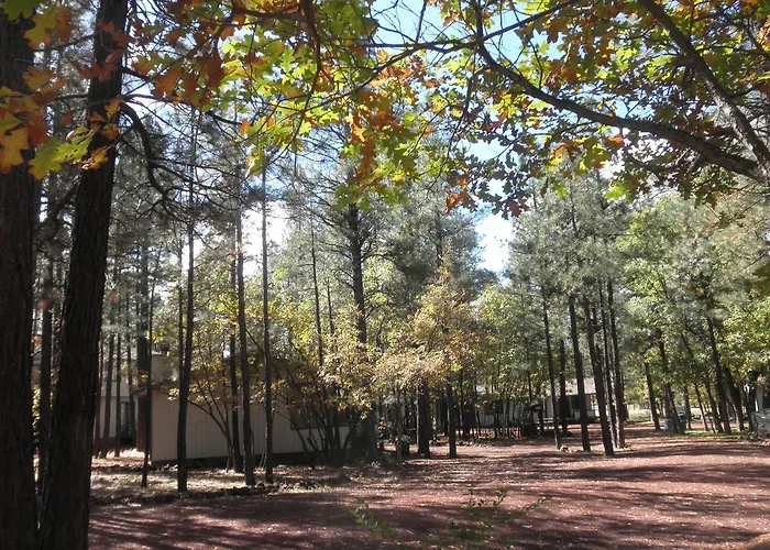 Buck Springs 3* Indian Pine