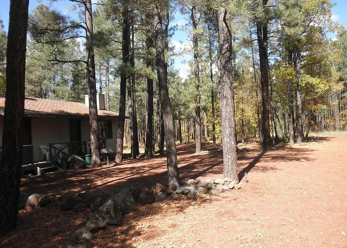 Buck Springs 3* Indian Pine