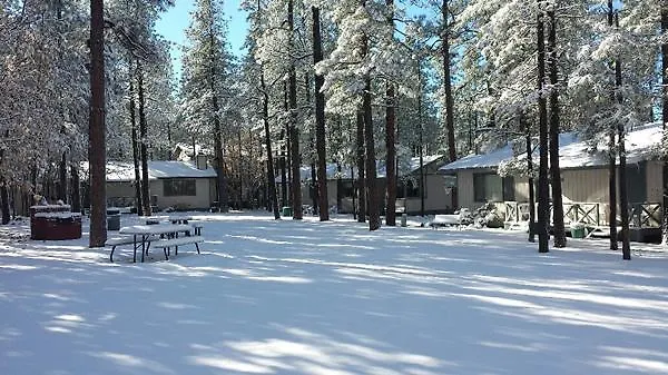 Buck Springs 3* Indian Pine